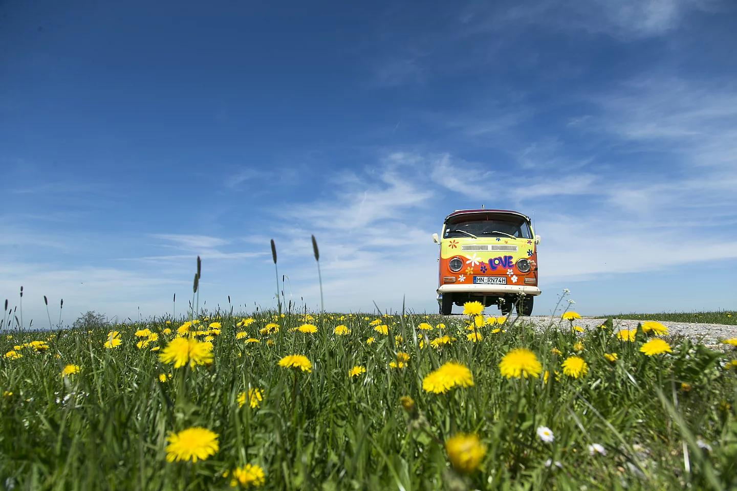 Rapunzel Bulli Bus in einem Löwenzahnfeld vor der Rapunzel Welt